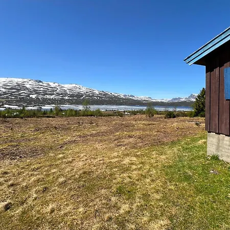 Pet Friendly In Ryfoss