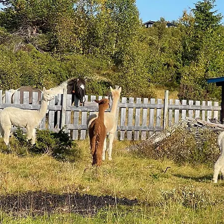 Сasa de vacaciones Pet Friendly In Ryfoss