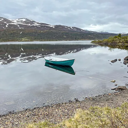 Pet Friendly In Ryfoss